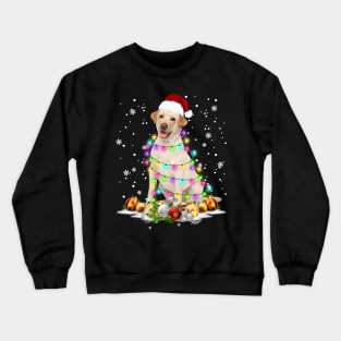 Nova Scotia Duck Tolling Retriever Christmas Dog Light Santa Hat Xmas - Merry Christmas Crewneck Sweatshirt